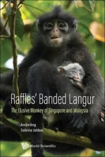 Raffles Banded Langur