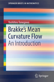 Brakke's Mean Curvature Flow : An Introd