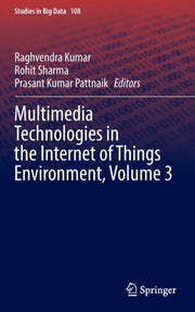 Multimedia Technologies In The Internet