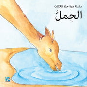 Camel