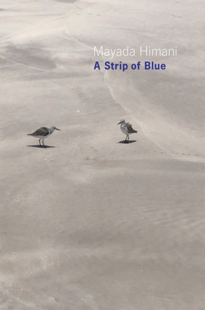 Strip Of Blue