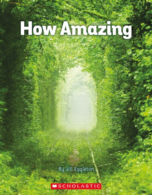 How Amazing