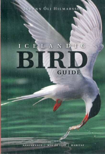 Icelandic Bird Guide Appearance Way Of L By Menning, Mal