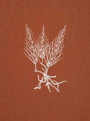 Brigantinas