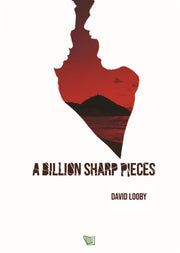 Billion Sharp Pieces