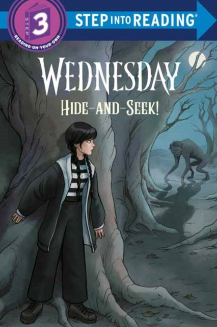 Hide & Seek Wednesday By Webster, Christy