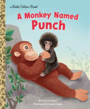 Monkey Named Punch By Groban, Betsy