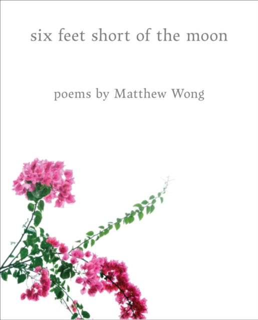 Six Feet Short Moon Poems Matthew Wong