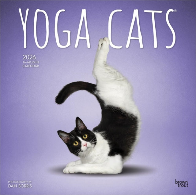 Yoga Cats 2026 Square Flap