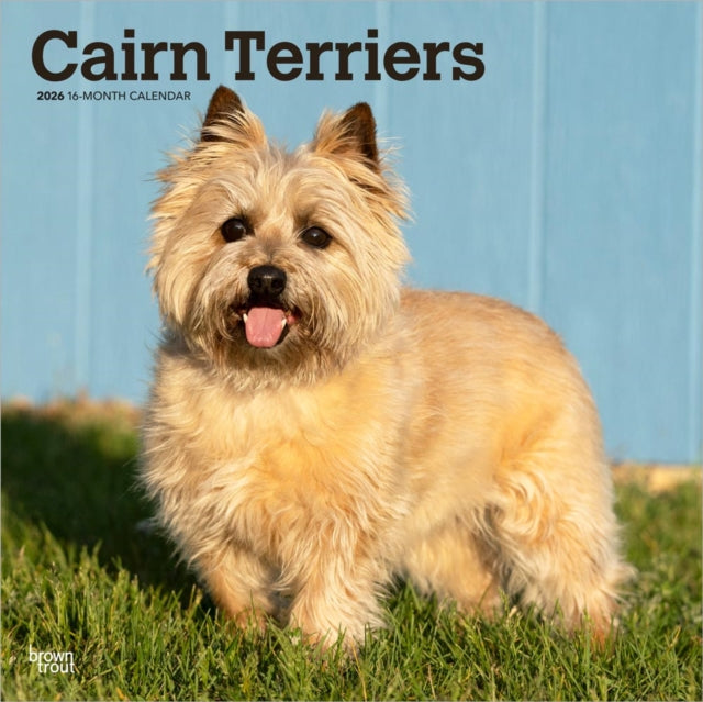 Cairn Terriers 2026 Square Flap