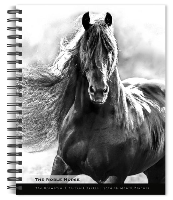 Horse The Noble The Browntrout Portrait
