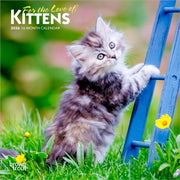 Kittens For The Love Of 2026 Mini 7x7