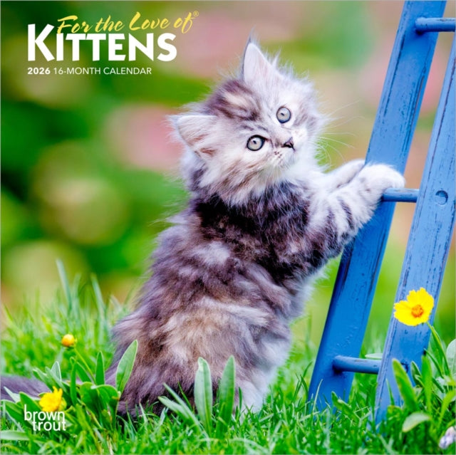 Kittens For The Love Of 2026 Mini 7x7