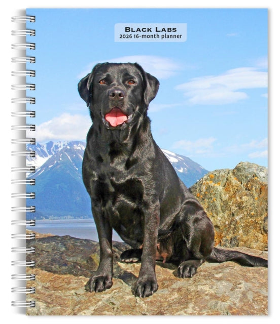 Labrador Retrievers Black 2026 Engagemen