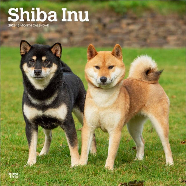 Shiba Inu 2026 Square Flap