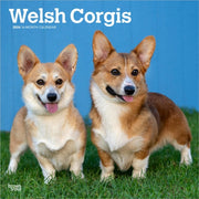 Welsh Corgis 2026 Square Flap