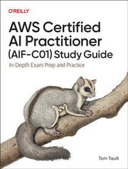 Aws Certified Ai Practitioner Study Guid