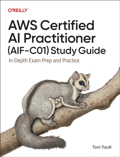 Aws Certified Ai Practitioner Study Guid