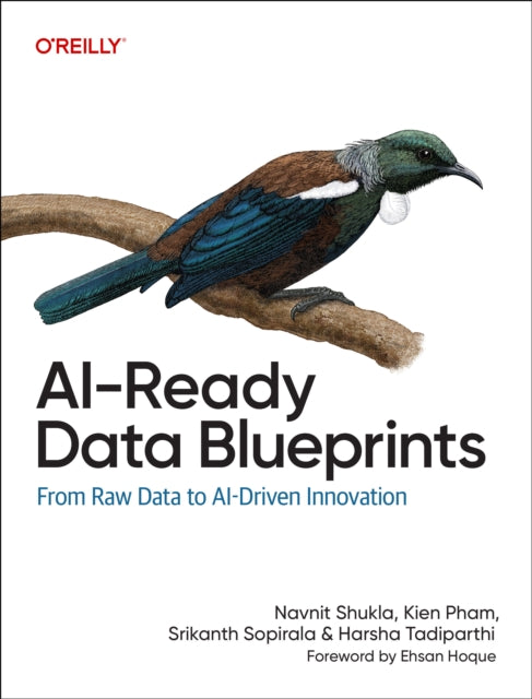 Ai-ready Data Blueprints