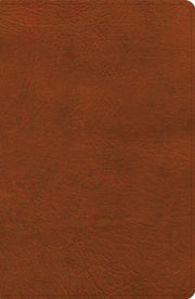 Nasb Personal Size Giant Print Bible Bur