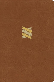 Csb Connecting Scripture New Testament B