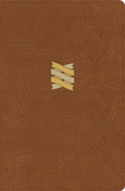 Csb Connecting Scripture New Testament B