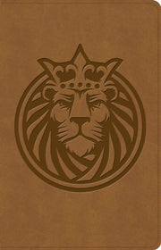 Csb Kids Bible Anglicised Edition Lion L