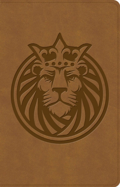 Csb Kids Bible Anglicised Edition Lion L