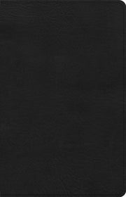 Csb Thinline Bible Anglicised Edition Bl