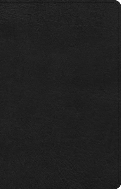 Csb Thinline Bible Anglicised Edition Bl