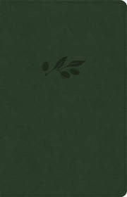 Csb Thinline Bible Anglicised Edition Ol