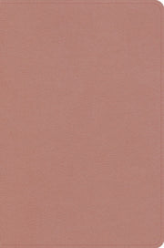 Kjv Study Bible Personal Size Edition Ro