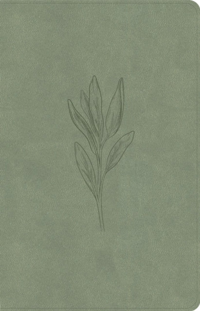 Kjv Thinline Bible Sage Suedesoft Leathe