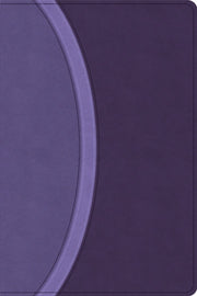 Csb Rainbow Study Bible Purple Leatherto
