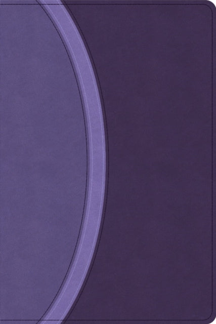 Csb Rainbow Study Bible Purple Leatherto