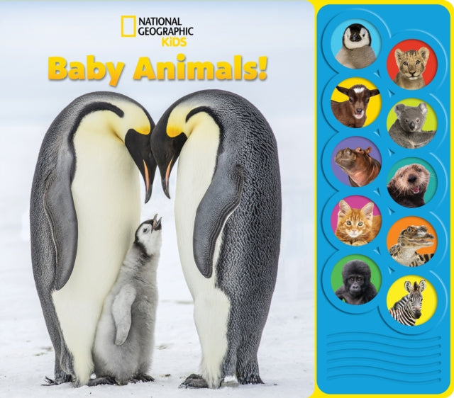 Baby Animals Sound Book