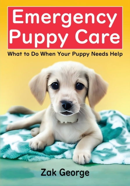 Emergency Puppy Care: What To Do When Yo