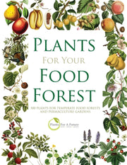 Plants For Your Food Forest: 500 Plants