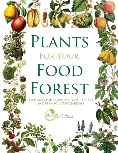 Plants For Your Food Forest: 500 Plants