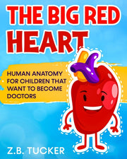 The Big Red Heart: The Cardiovascular Sy