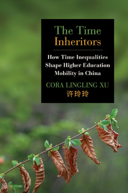 Time Inheritors: How Time Inequalities S