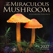 Miraculous Mushroom 2027 Wall Calendar By Amber Lotus Publishi