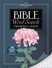Amen Puzzles Bible Word Search By Boone, Jacqui