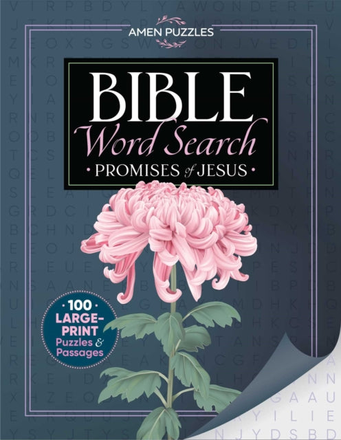 Amen Puzzles Bible Word Search By Boone, Jacqui