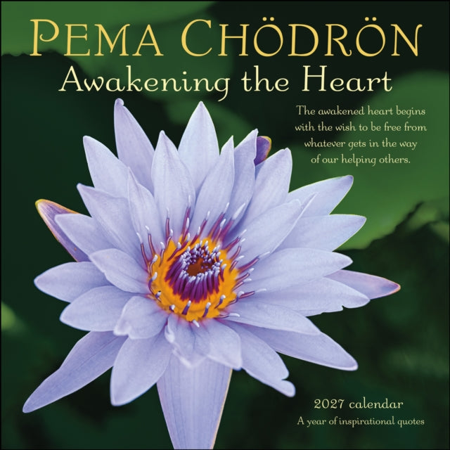 Pema Chdrn 2027 Wall Calendar By Ch Dr N, Pema