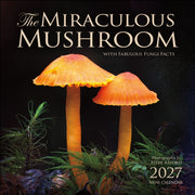 Miraculous Mushroom 2027 Mini Wall Calen By Axford, Steve