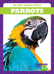 Parrots By Nilsen, Genevieve