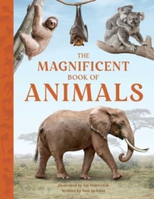 Magnificent Book Of Animals By Jackson, Tom