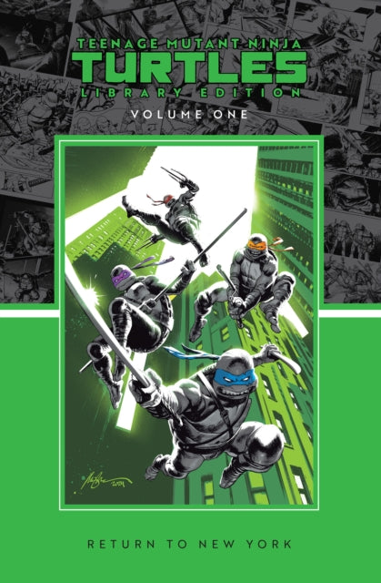 Teenage Mutant/v1 Return To New York