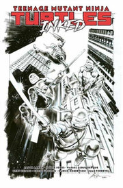 Teenage Mutant Ninja Turtles Vol 1 Retur